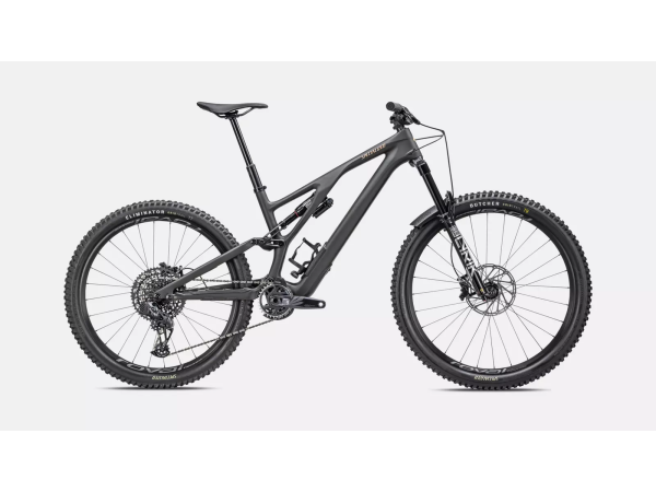 Comprar BTT Specialized Stumpjumper EVO LTD 2023 - Bike Philosophy